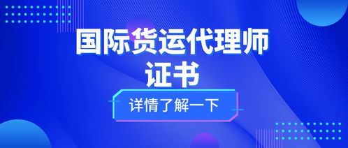 國(guó)際貨運(yùn)代理師證 考試難度、核心職責(zé)與證書價(jià)值全解析